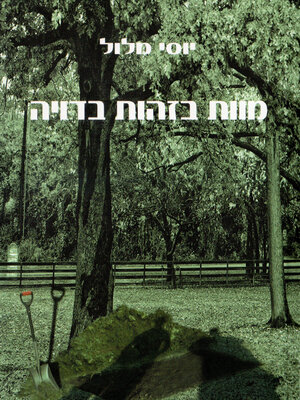 cover image of מוות בזהות בדויה